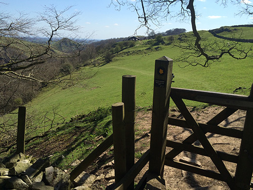 Beechenhill Walks and Trails